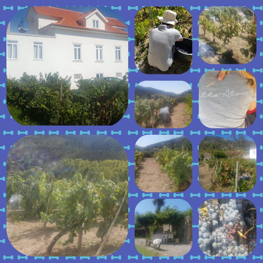 Villa Alzira Seia Eksteriør bilde