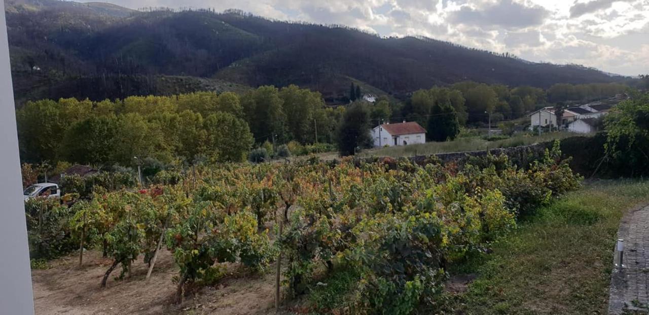 Villa Alzira Seia Eksteriør bilde